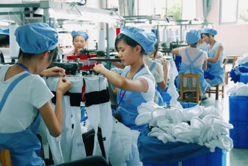 数字经济反哺实体经济 京东11.11寄卖服务的共赢新路径